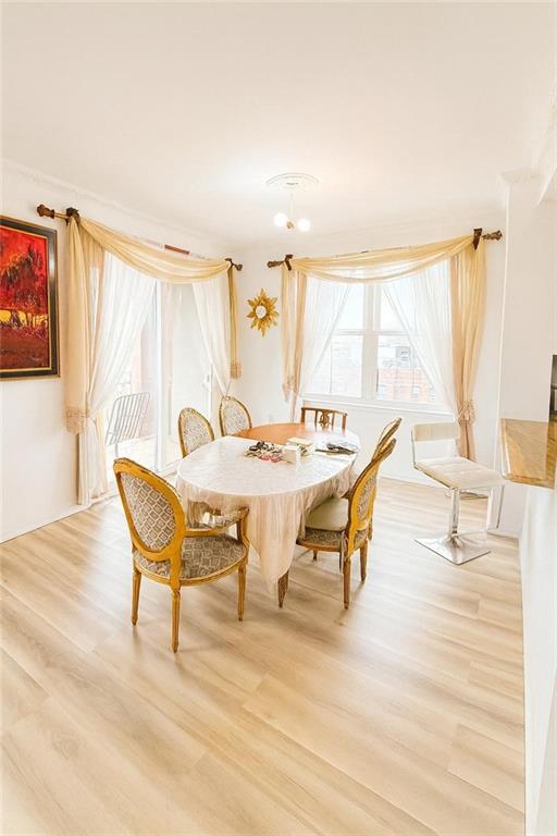 60 Oceana Drive 8B, Brooklyn, New York, 11235 image 9