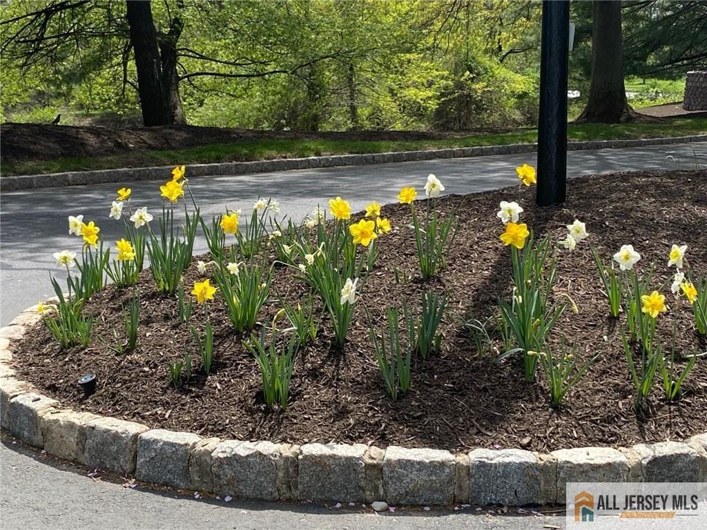 121 Waterford Drive, Edison, NJ, 08817 image 24