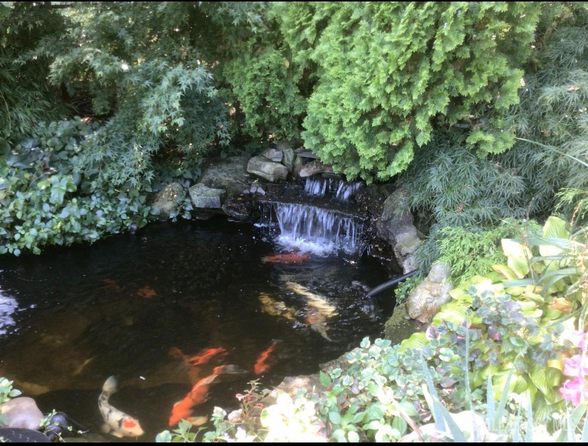 31 McFarlane Circle, Monroe, NJ, 08831 image 39