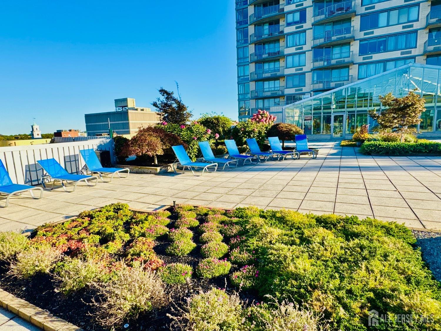 1 Spring Street 2403, New Brunswick, NJ, 08901 image 27