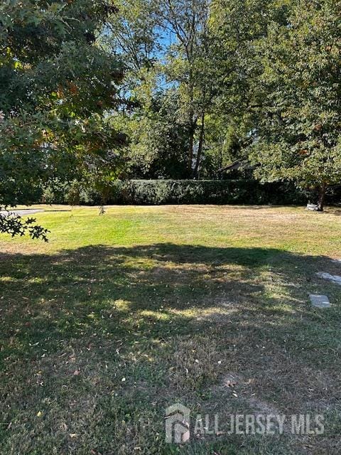 103 Minna Avenue Image 3