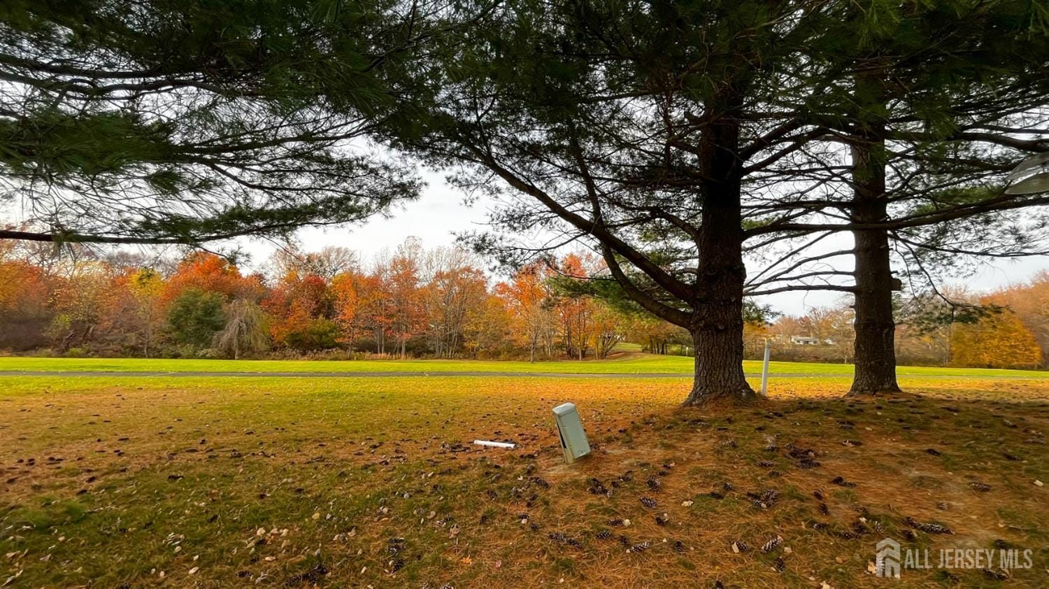 719 Delair Road Image 2