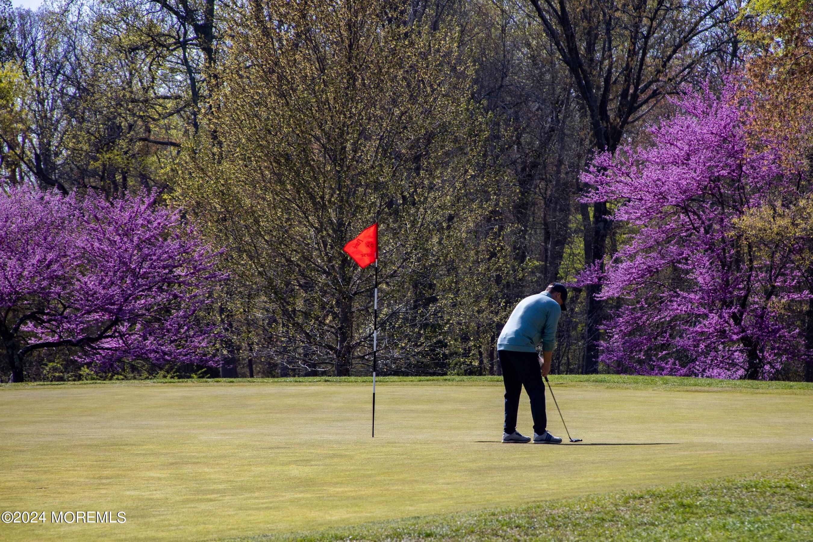 421 Georgetown Drive, Morganville, NJ, 07751 image 72