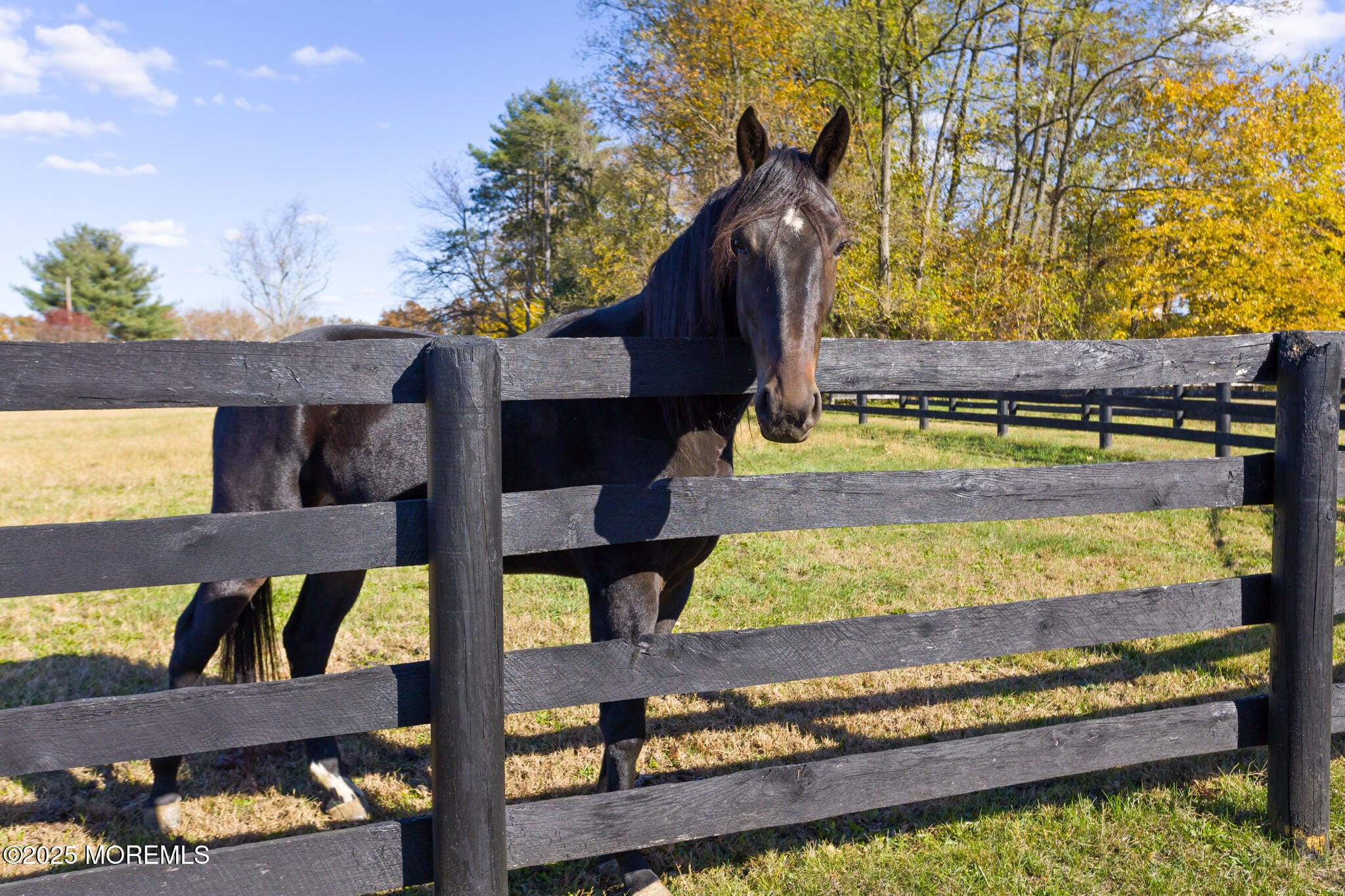 193 Burlington Path Road, Cream Ridge, NJ, 08514 image 51