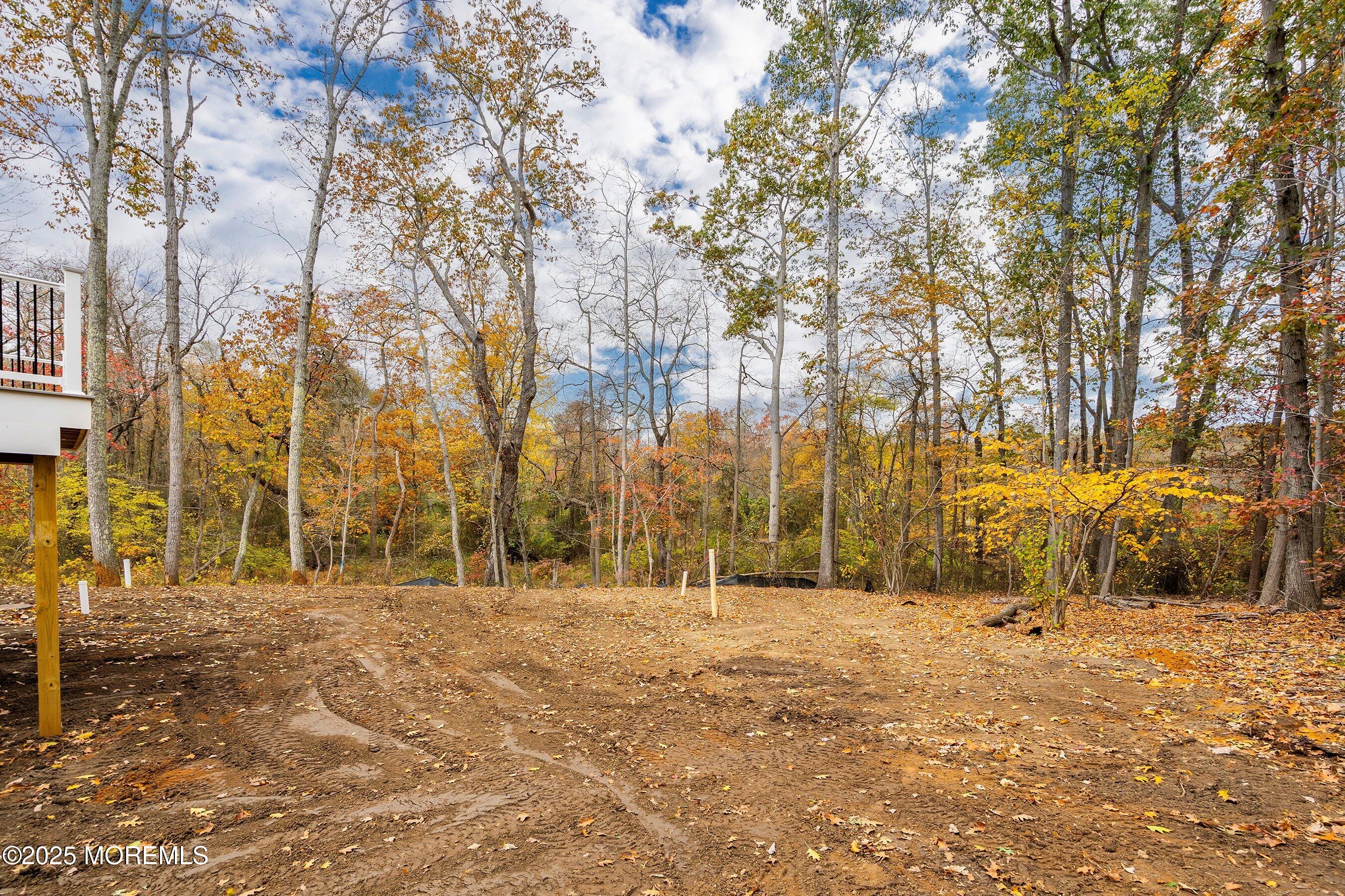 34 Mill Road, Manalapan, NJ, 07726 image 25