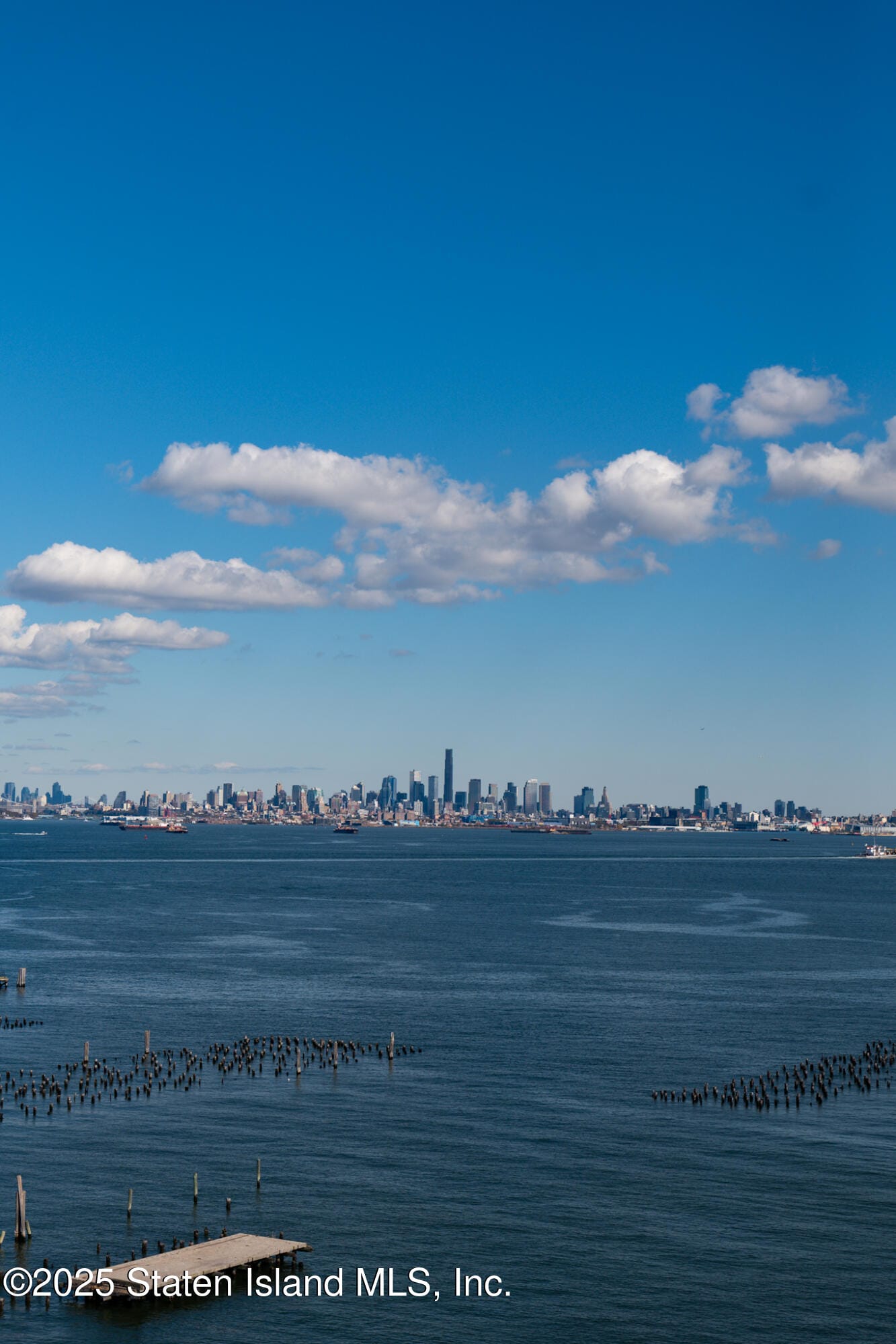10 Bay Street Landing 2g, Staten Island, NY, 10301 image 13