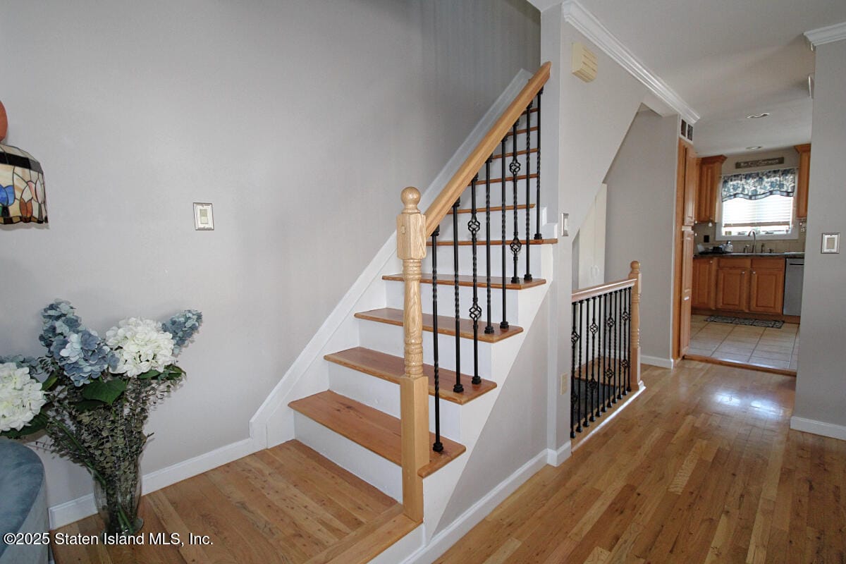 449 Pompey Avenue, Staten Island, NY, 10312 image 12