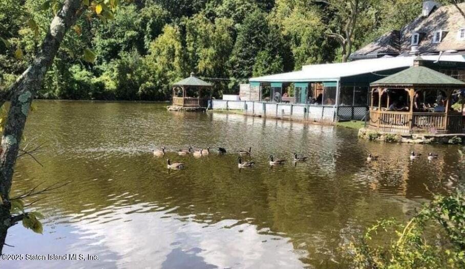 1000 Clove Road 6-O & 6-P, Staten Island, NY, 10301 image 42