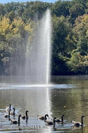 1000 Clove Road 6-O & 6-P, Staten Island, NY, 10301 image 43