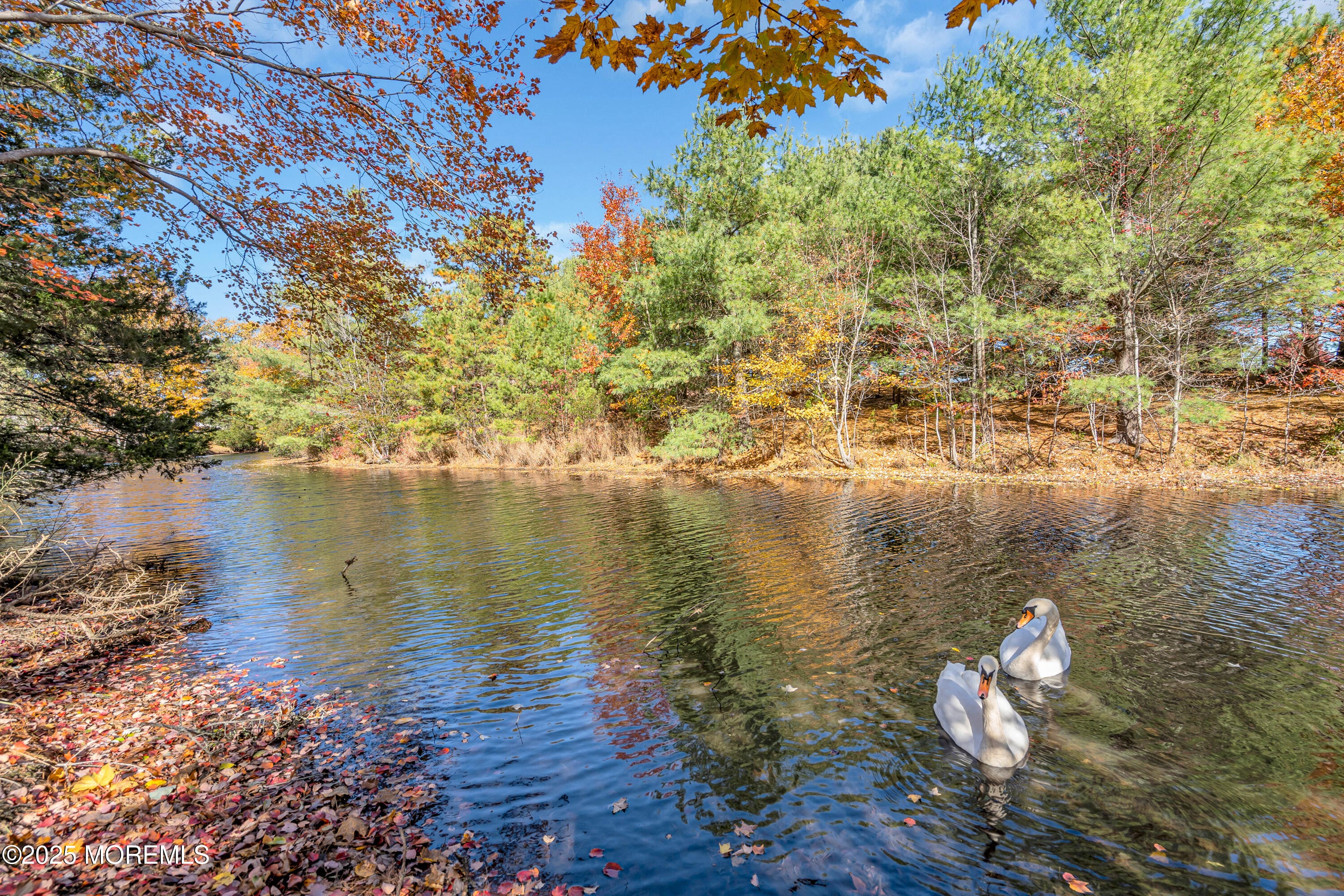 160 Charlotteville Drive, Toms River, NJ, 08757 image 26