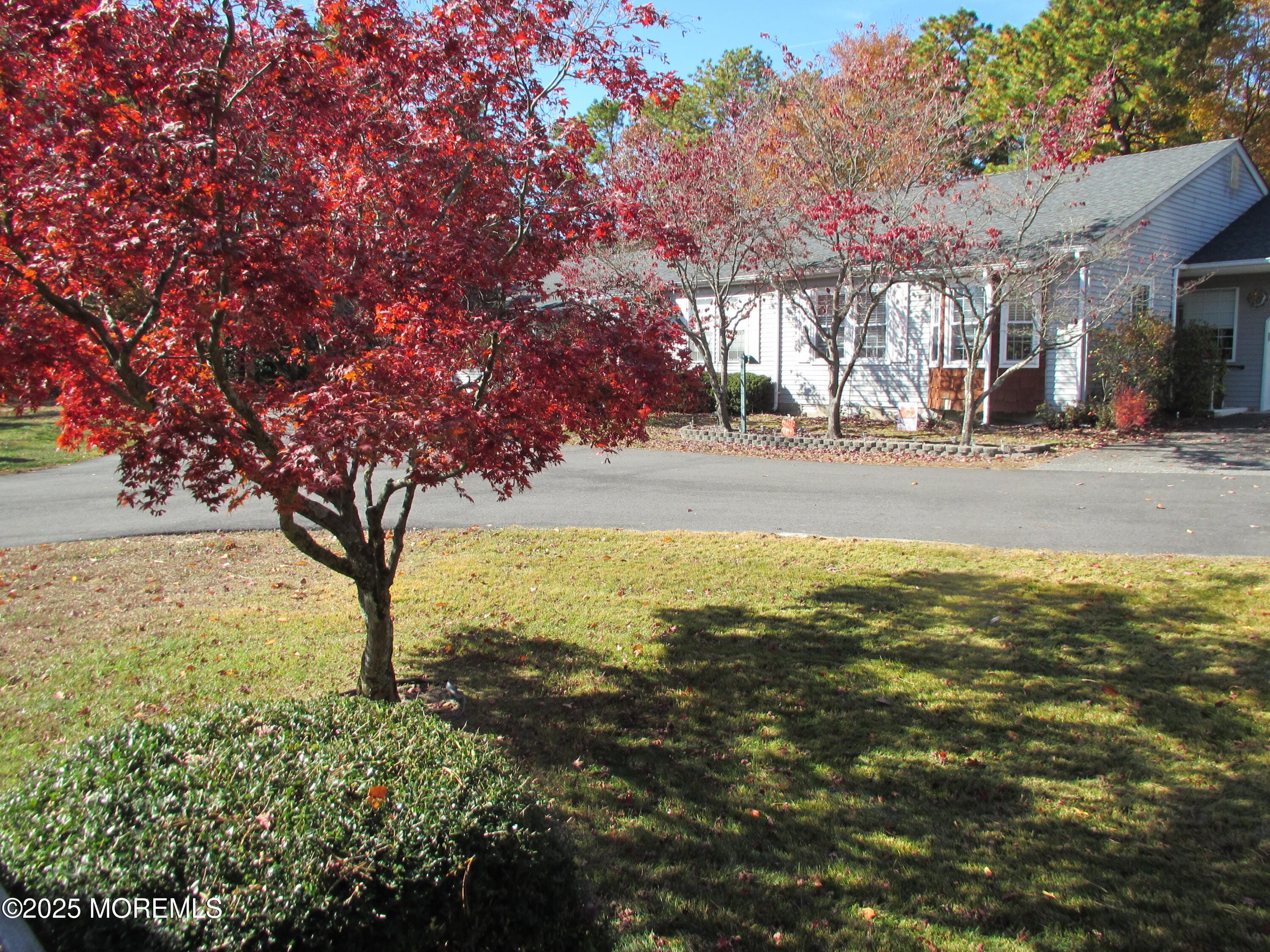 9A Ardsley Avenue 64, Whiting, NJ, 08759 image 10