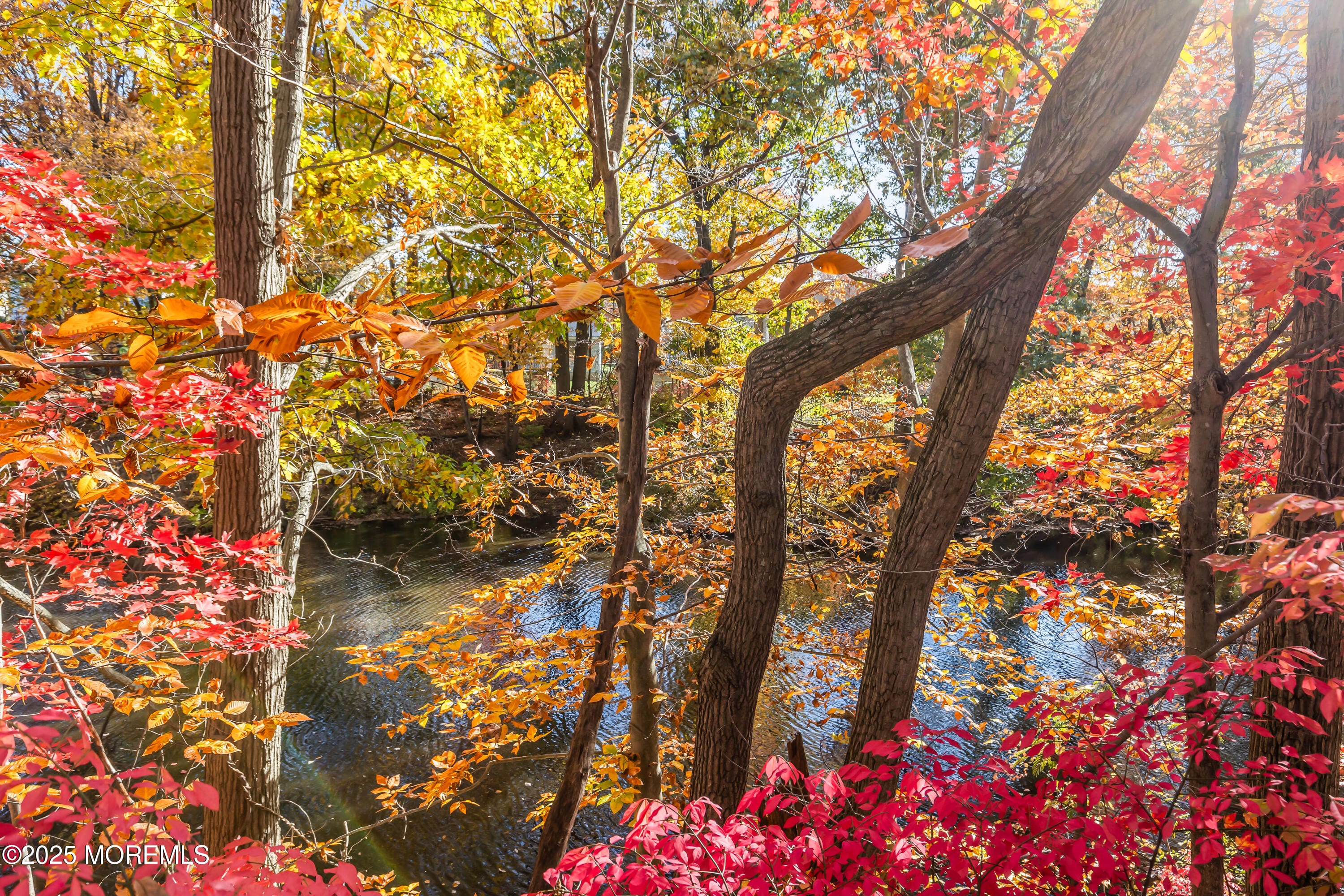 5 Indiana Court A, Matawan, NJ, 07747 image 28