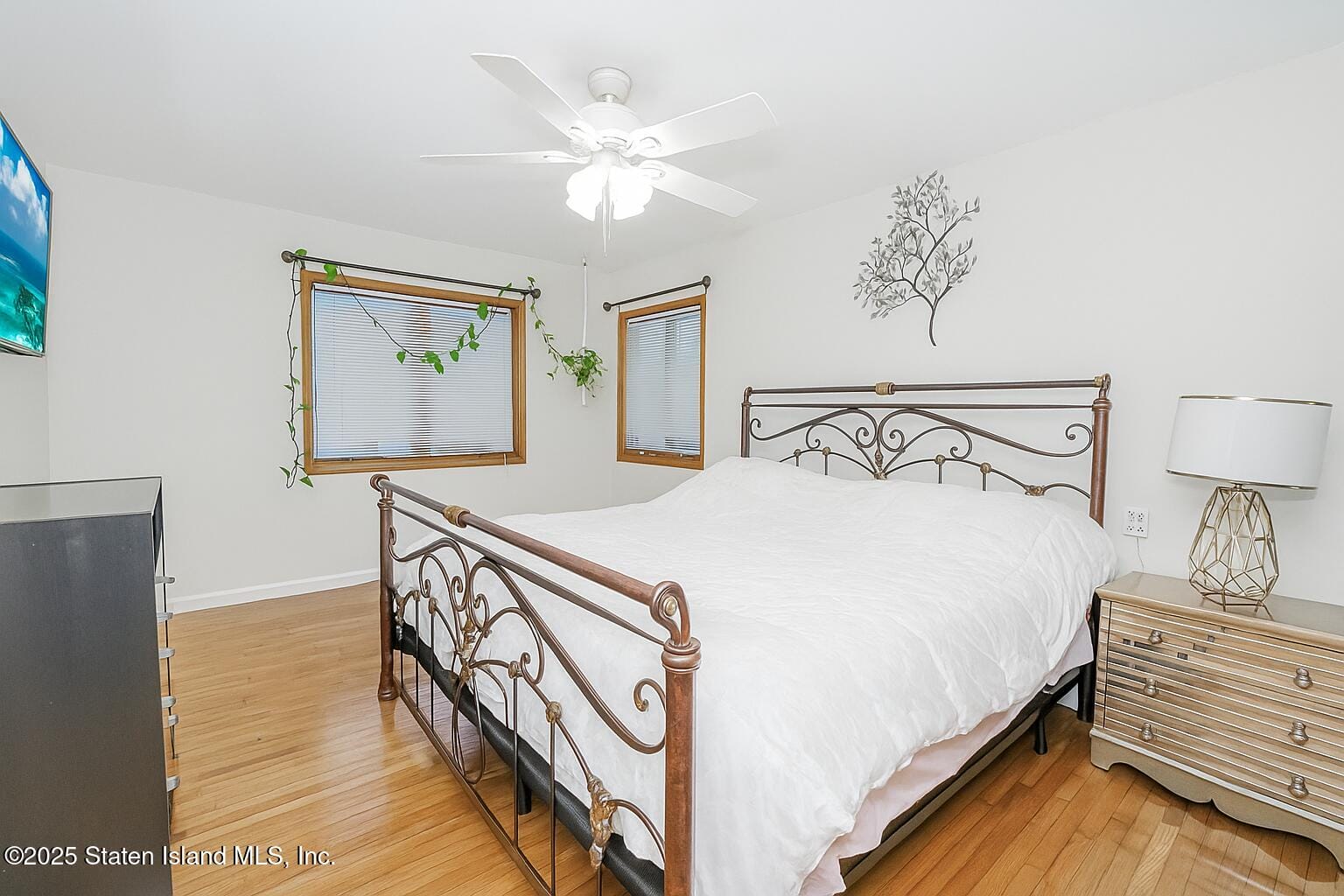 41 Witteman Place, Staten Island, NY, 10301 image 15