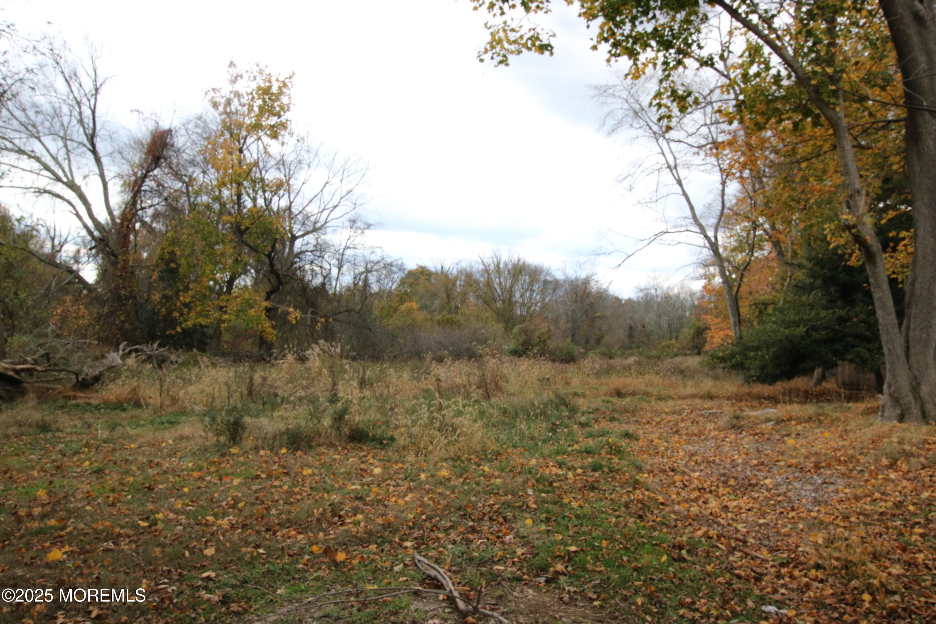 58 Monmouth Road, Eatontown, NJ, 07724 image 31