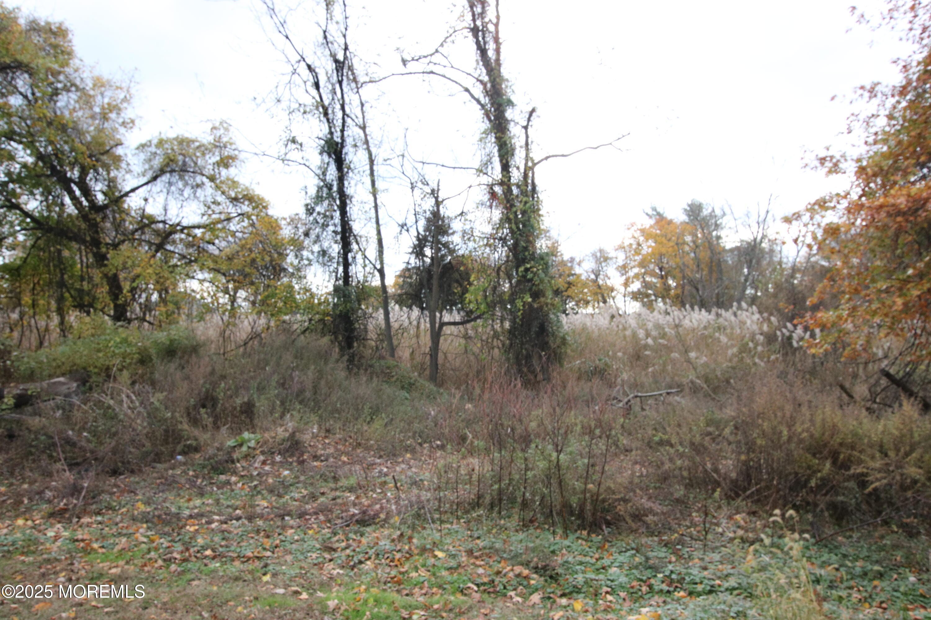 58 Monmouth Road, Eatontown, NJ, 07724 image 32