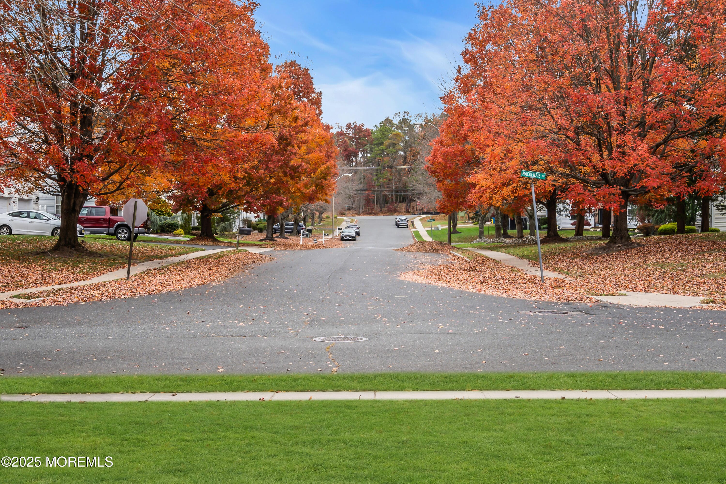 334 Mackenzie Drive, Jackson, NJ, 08527 image 6