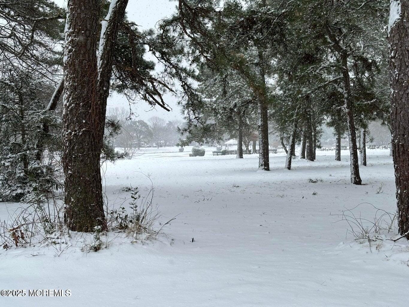 10 Whitman Street, Brick, NJ, 08724 image 16