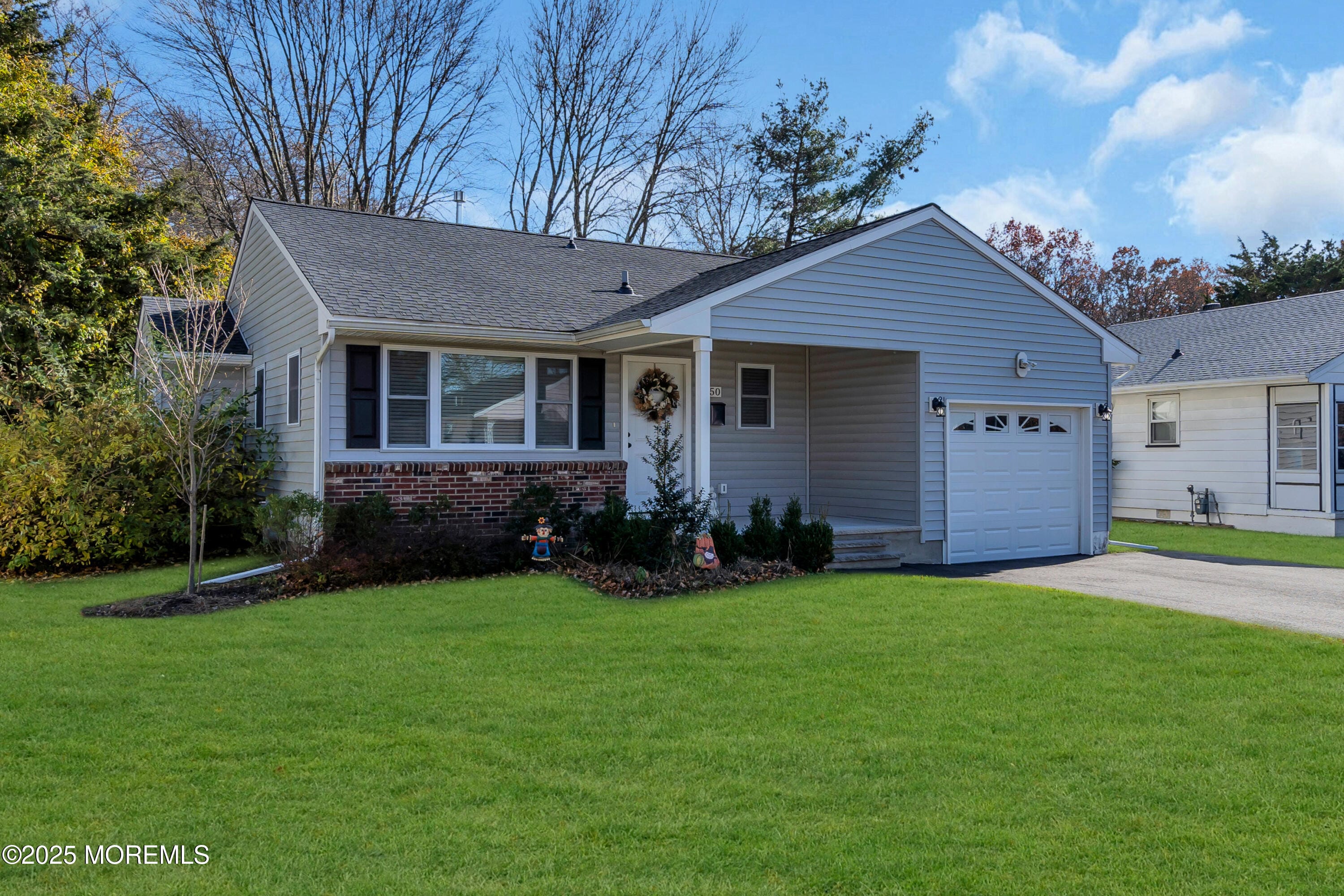 50 Golden Glow Circus Image 2