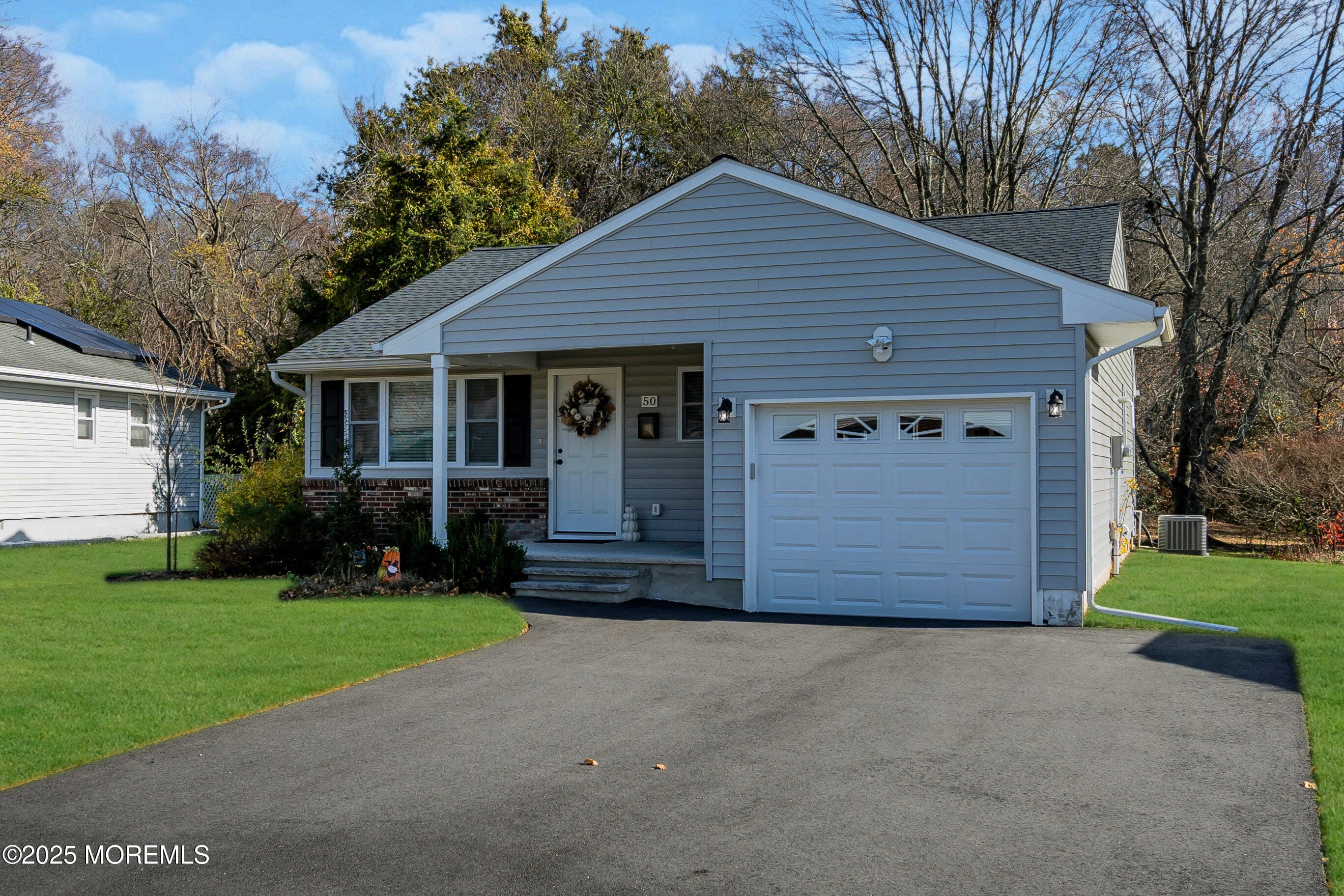 50 Golden Glow Circus Image 3