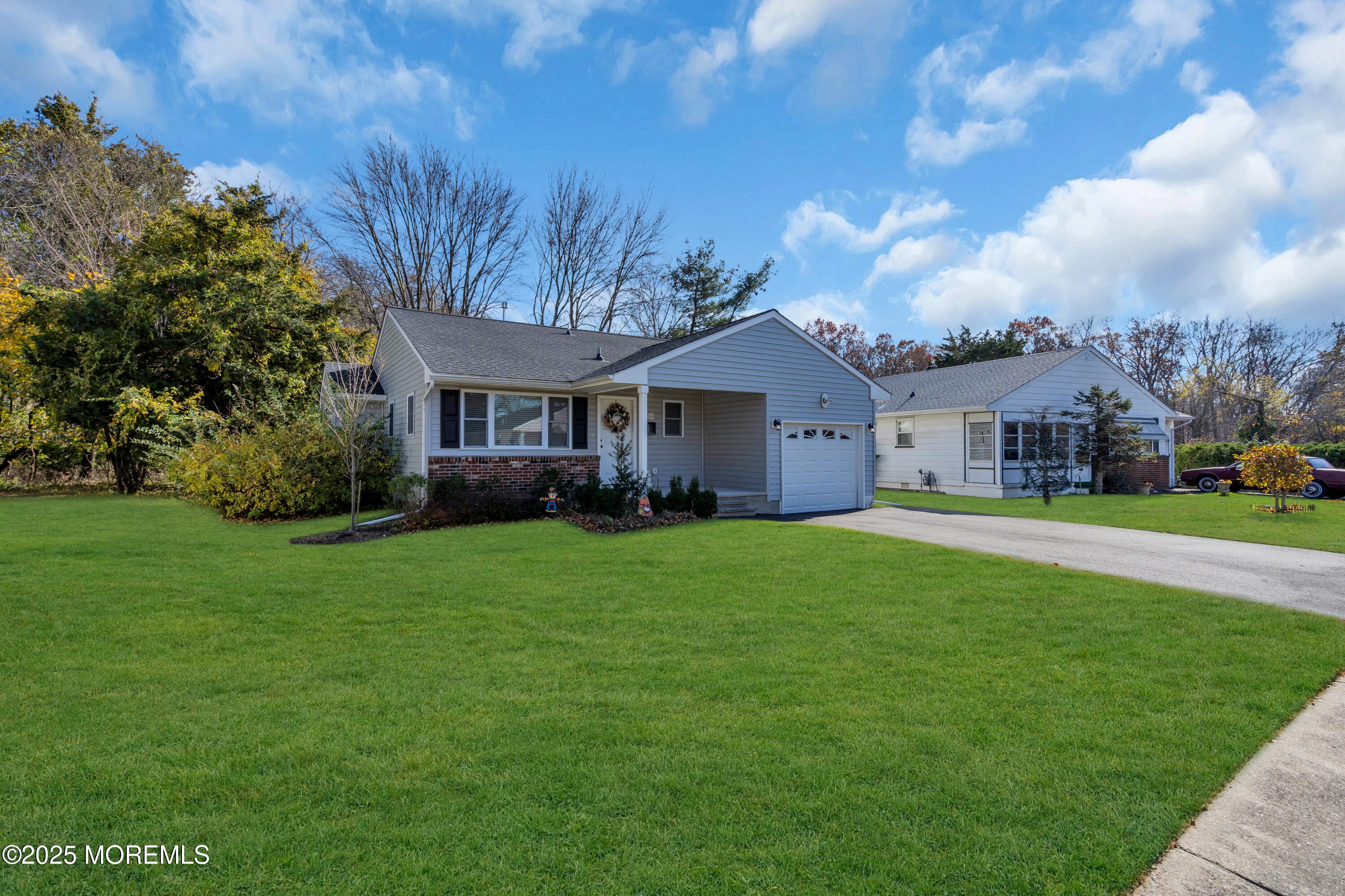 50 Golden Glow Circus Image 4