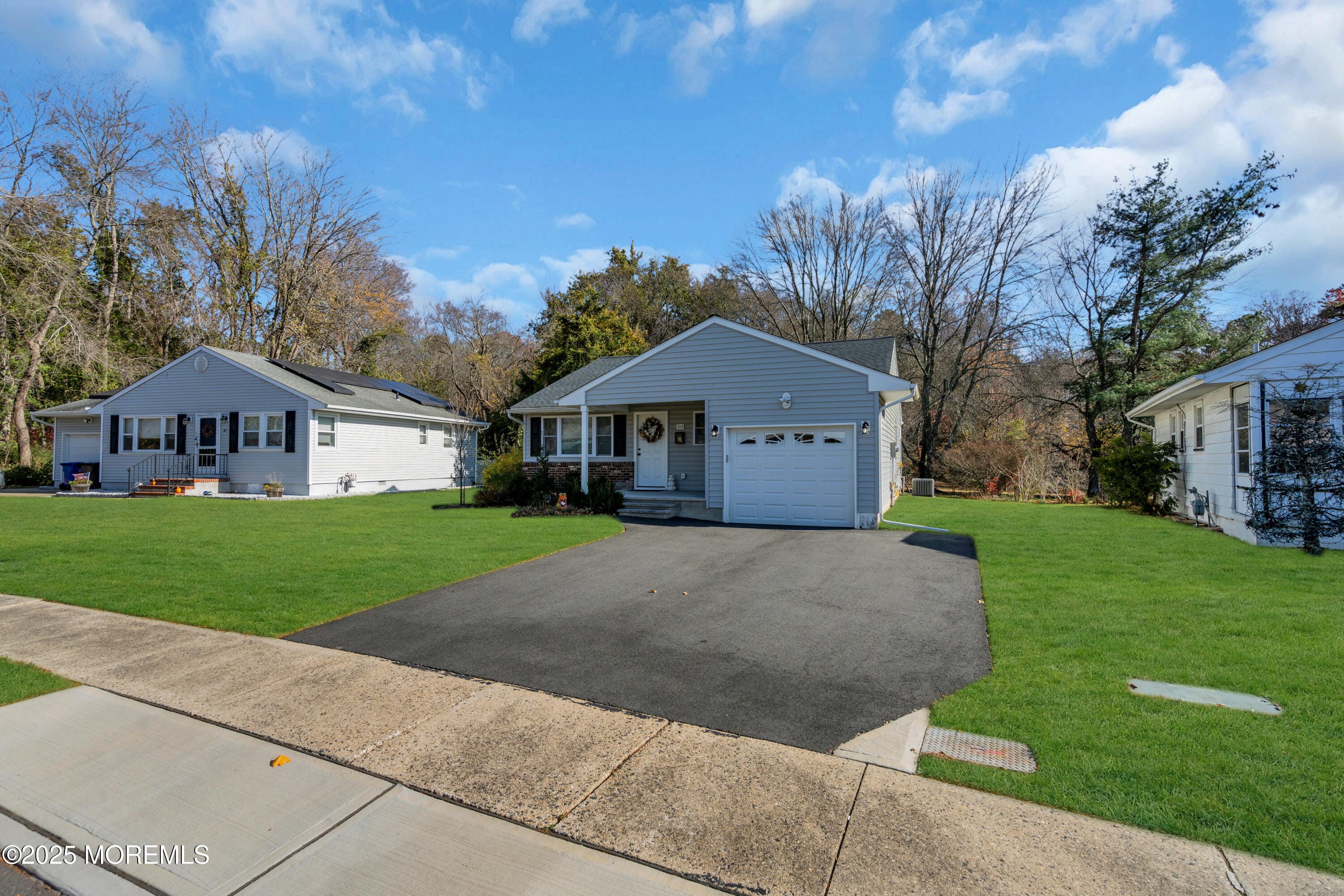 50 Golden Glow Circus Image 5