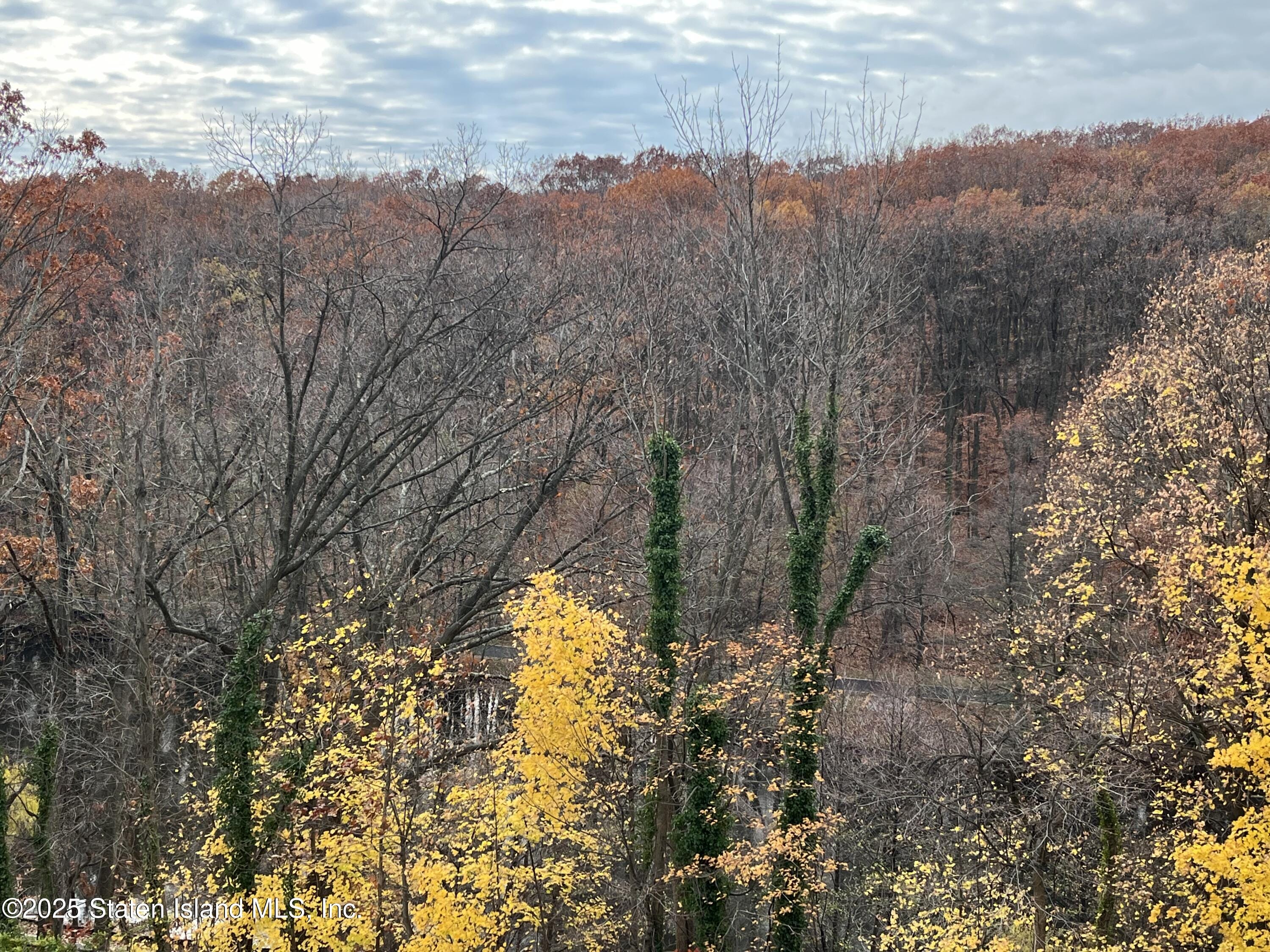 1000 Clove Road 4-P, Staten Island, NY, 10301 image 9