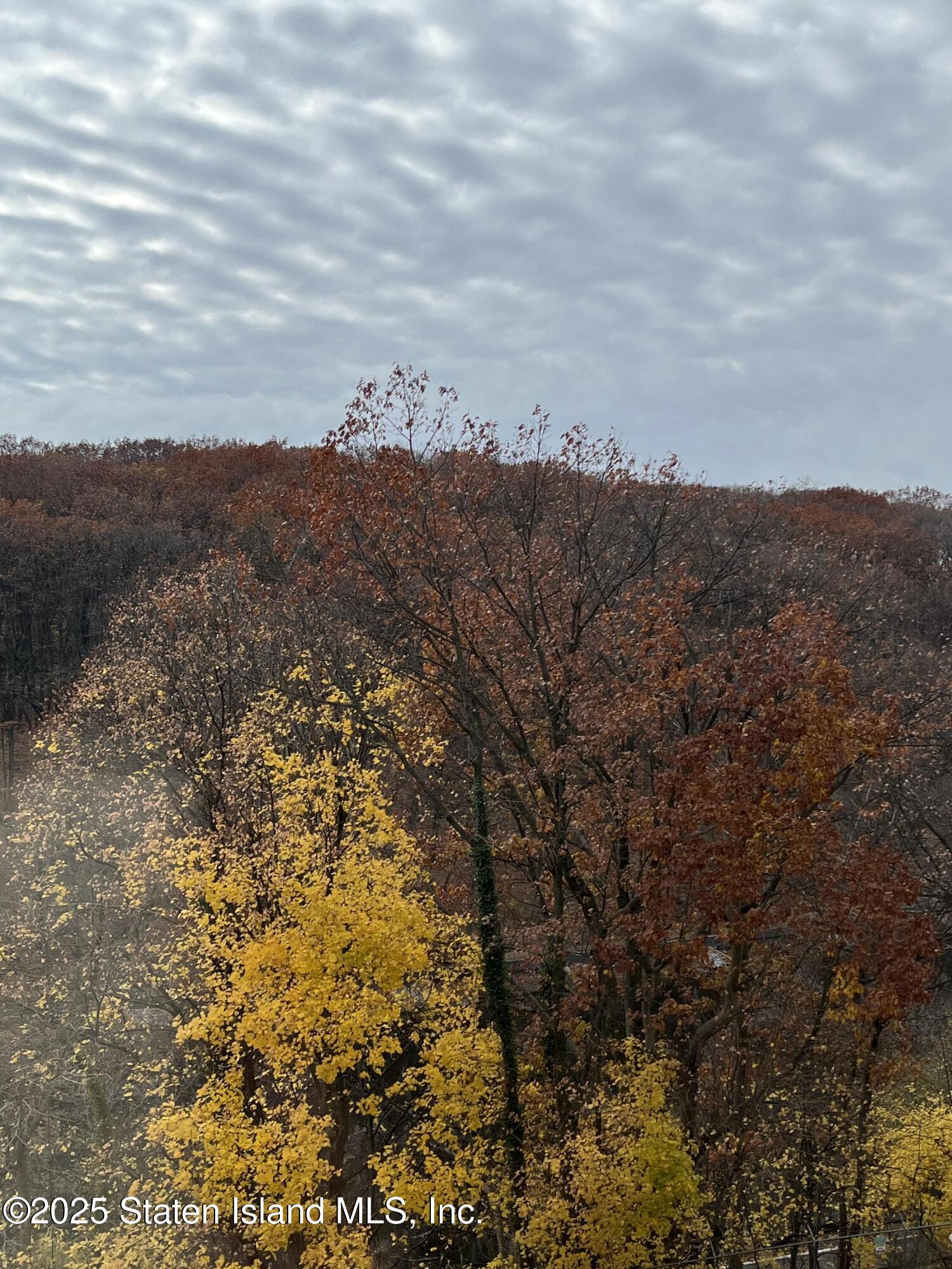 1000 Clove Road 4-P, Staten Island, NY, 10301 image 10