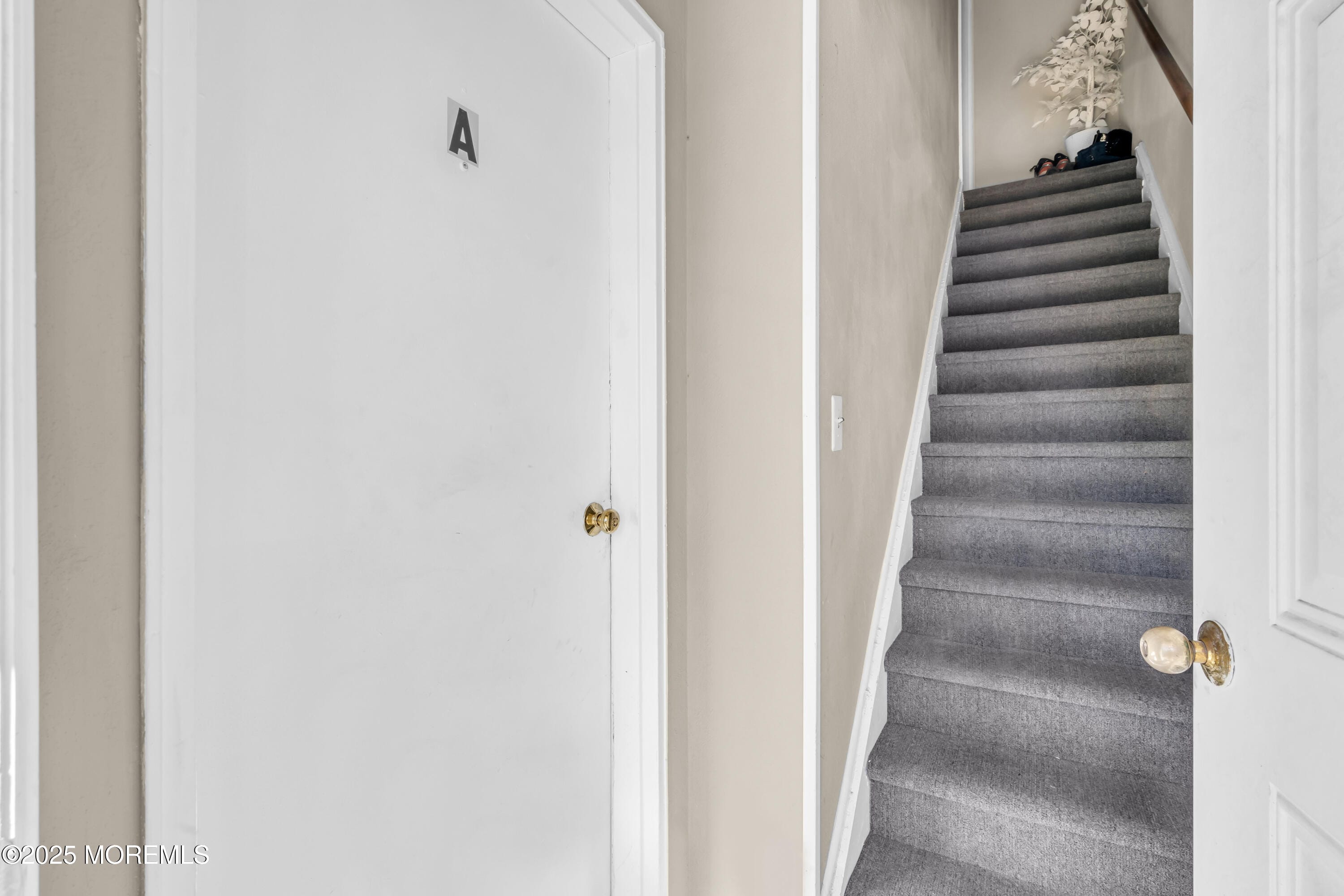 49 Laurel Place A Image 2