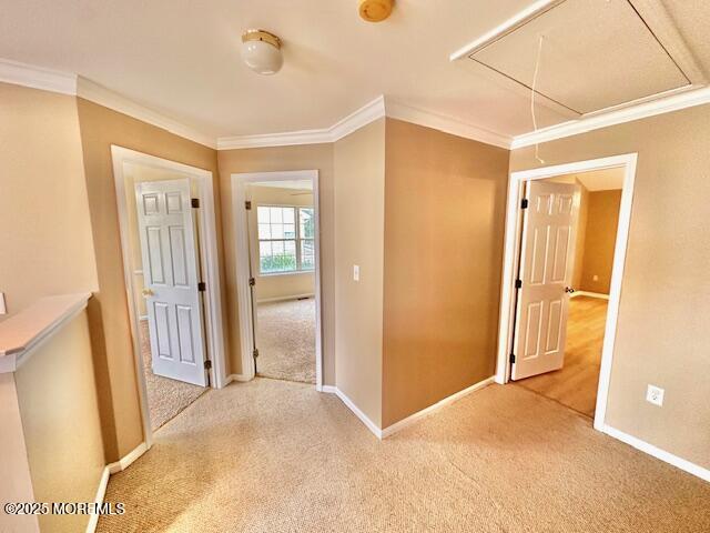 3 Mountain Laurel Road, Morganville, NJ, 07751 image 23