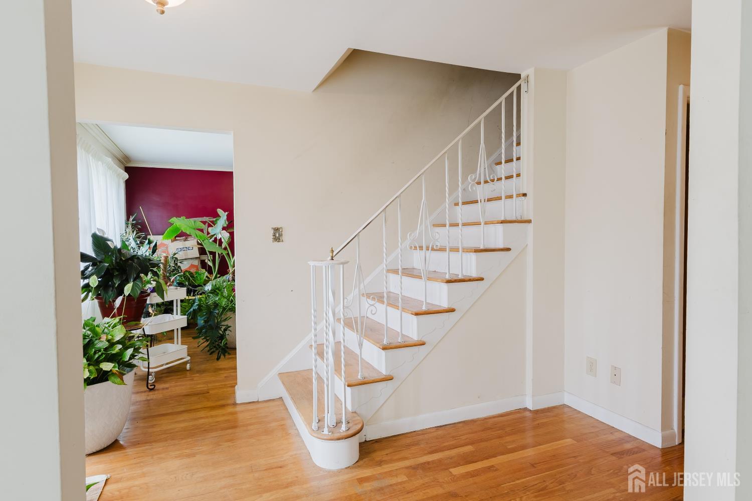 11 Edgeworth Place Image 4