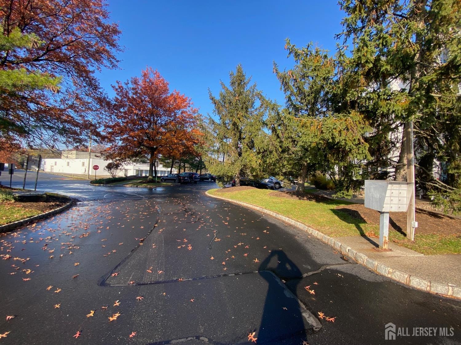 513 Waterford Drive, Edison, NJ, 08817 image 23