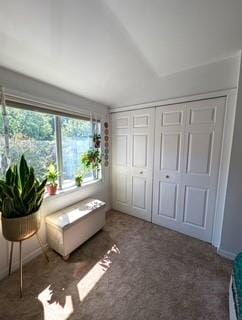 305 Ilyssa Way, Staten  Island, New York, 10312 image 8