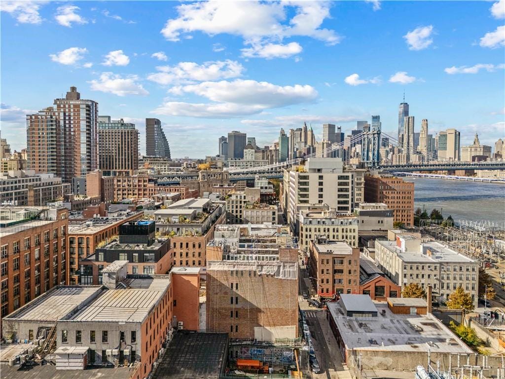 37 Bridge Street 2D, Brooklyn, New York, 11201 image 35