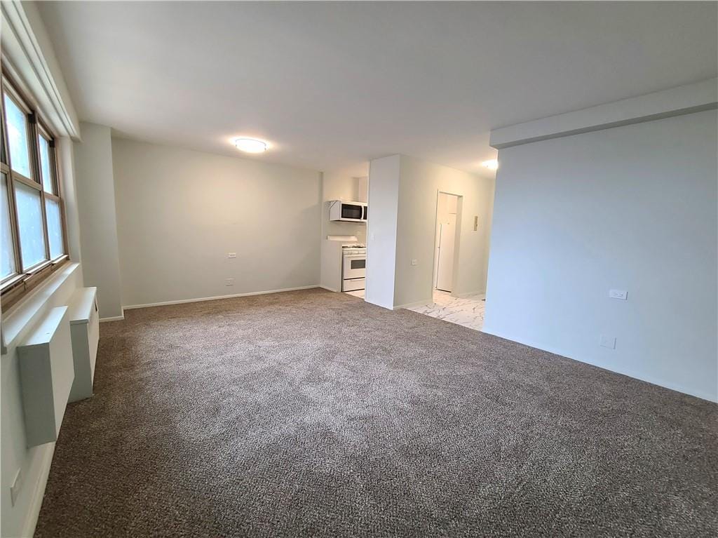 448 Neptune Avenue 15A, Brooklyn, New York, 11224 image 6