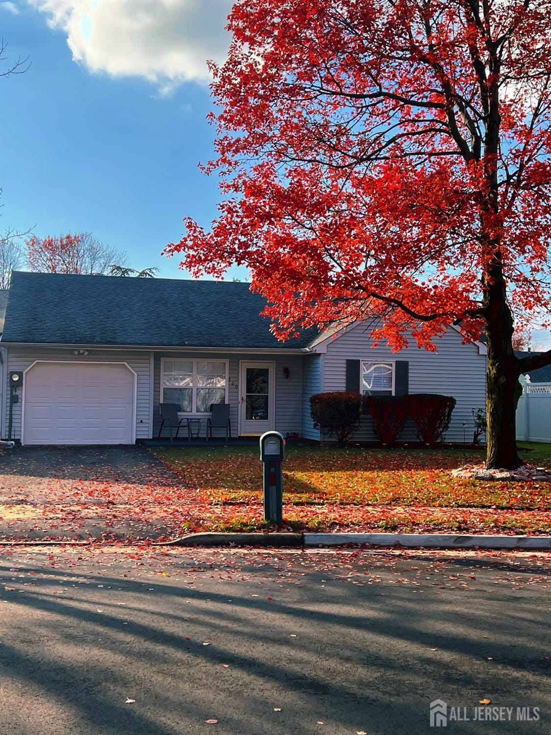 220-220 SCALERA Street Image 2