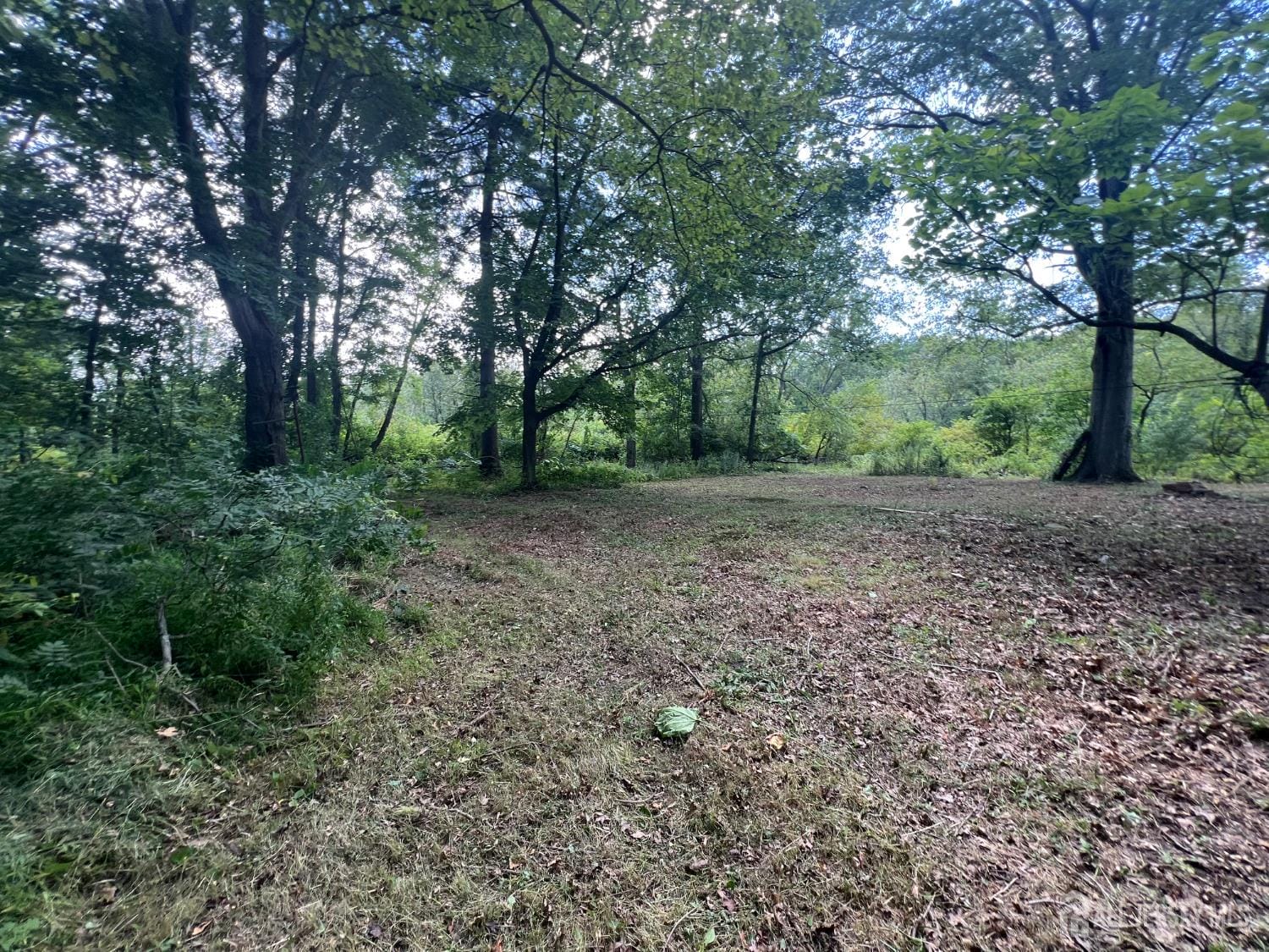 138 Disbrow Hill Road, Millstone, NJ, 08535 image 22