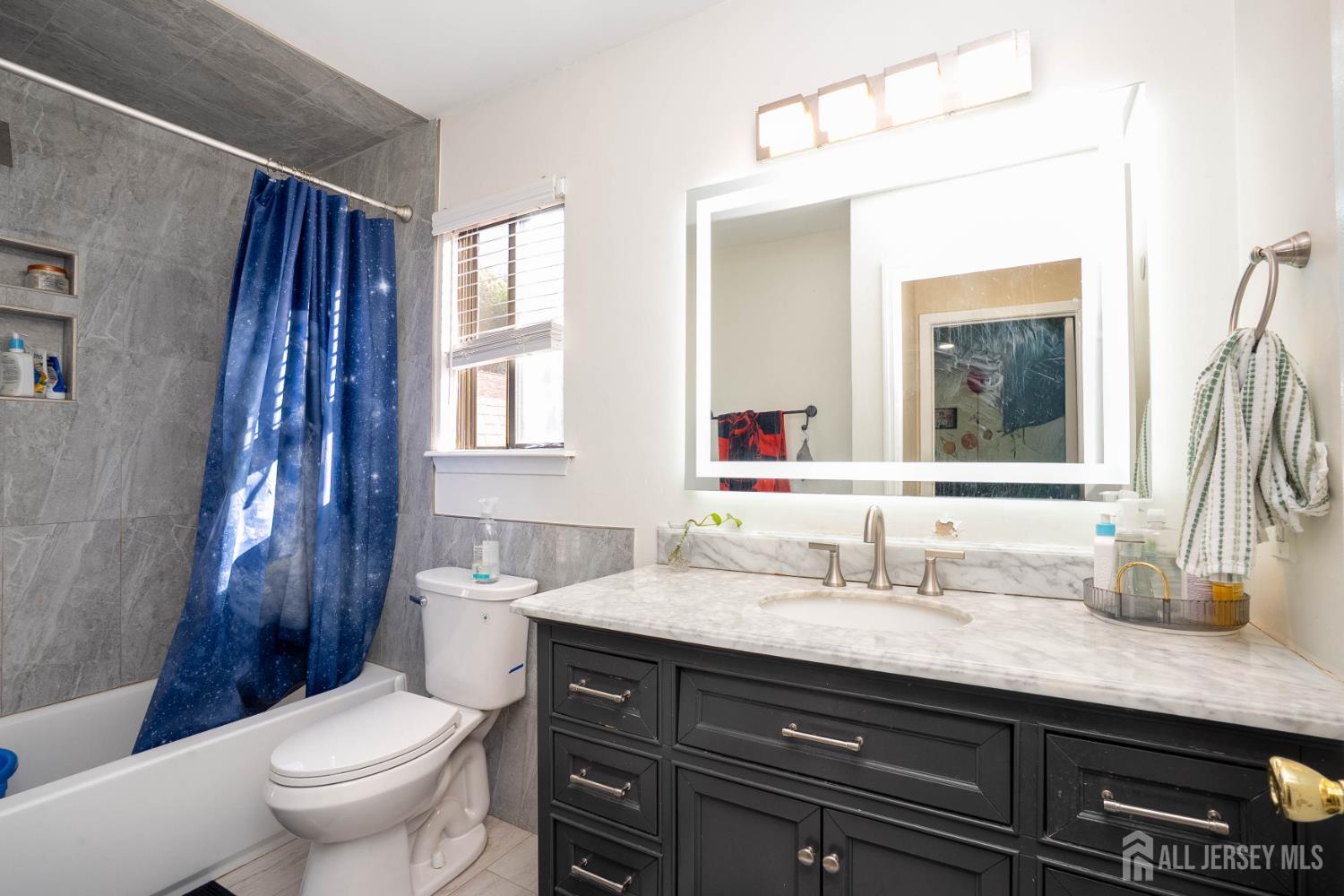 58 Park Gate Drive, Edison, NJ, 08820 image 22