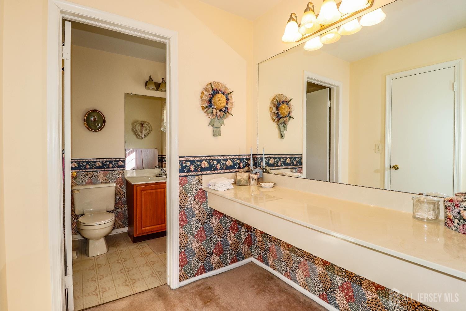 288 Waterlou Court, Franklin Twsp, NJ, 08873 image 28