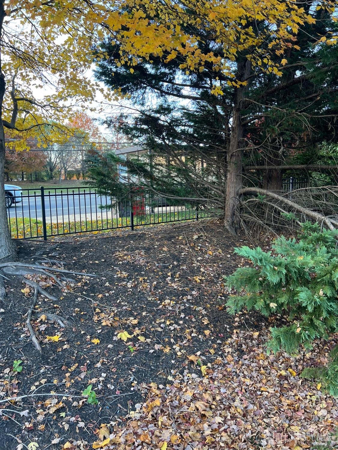 52 Juniper Plaza a, Monroe, NJ, 08831 image 29