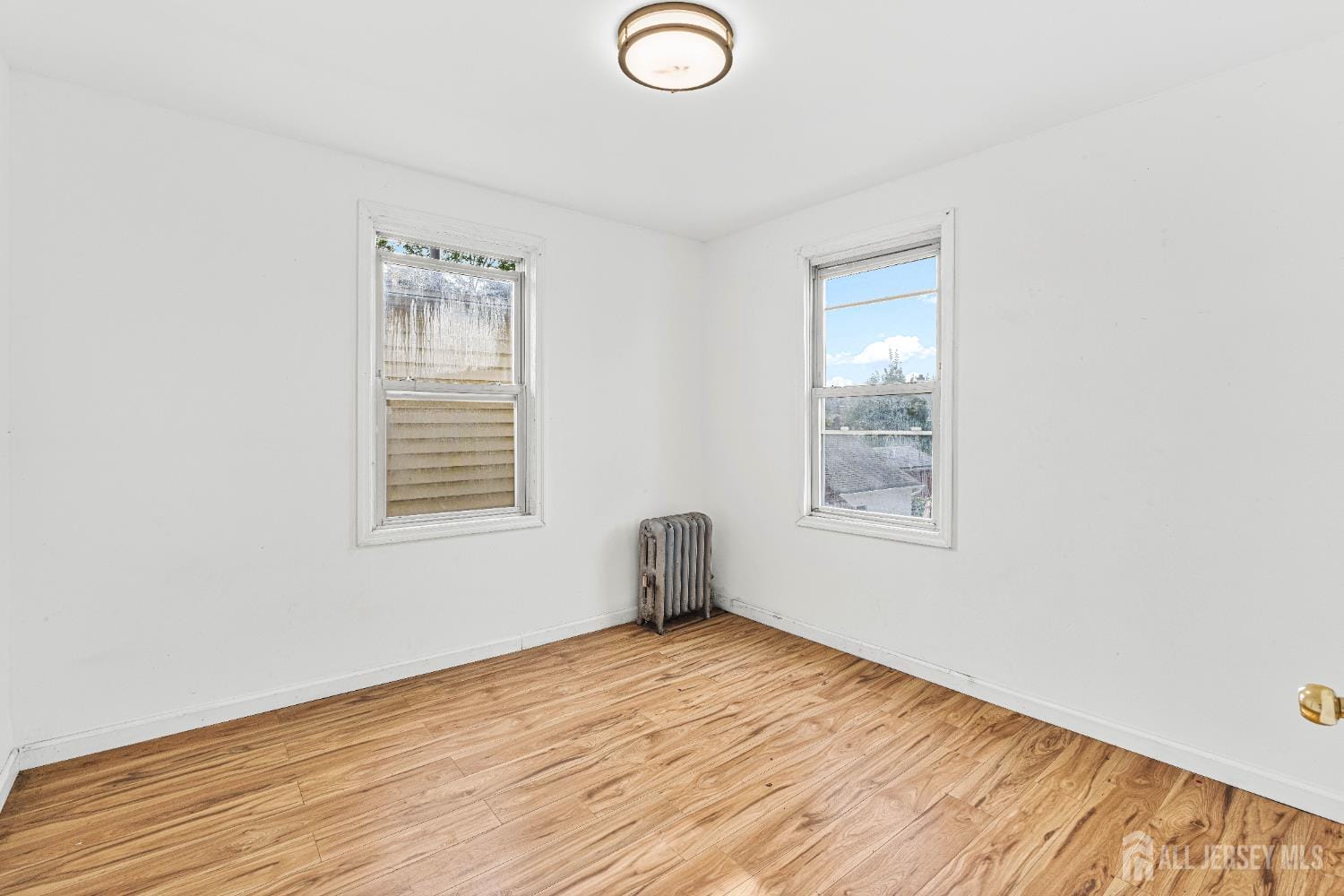 18 N Talmadge Street, New Brunswick, NJ, 08901 image 15