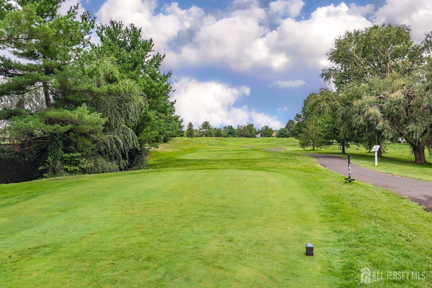 26 Daniel Webster Avenue D, Monroe, NJ, 08831 image 35