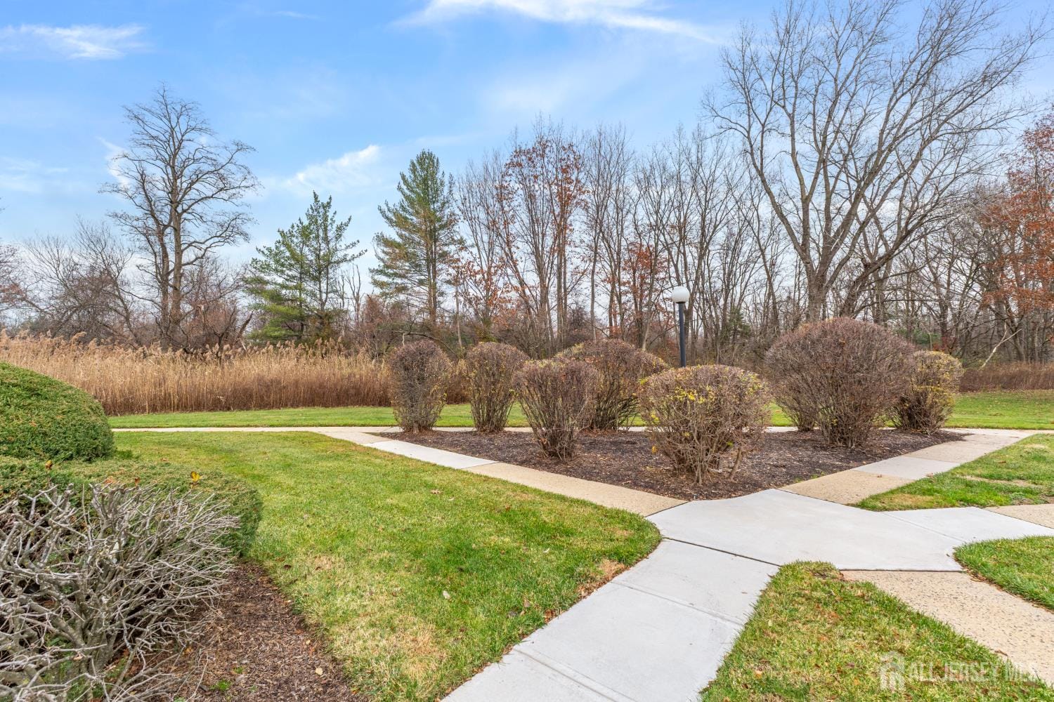 338 Westgate Drive, Edison, NJ, 08820 image 8