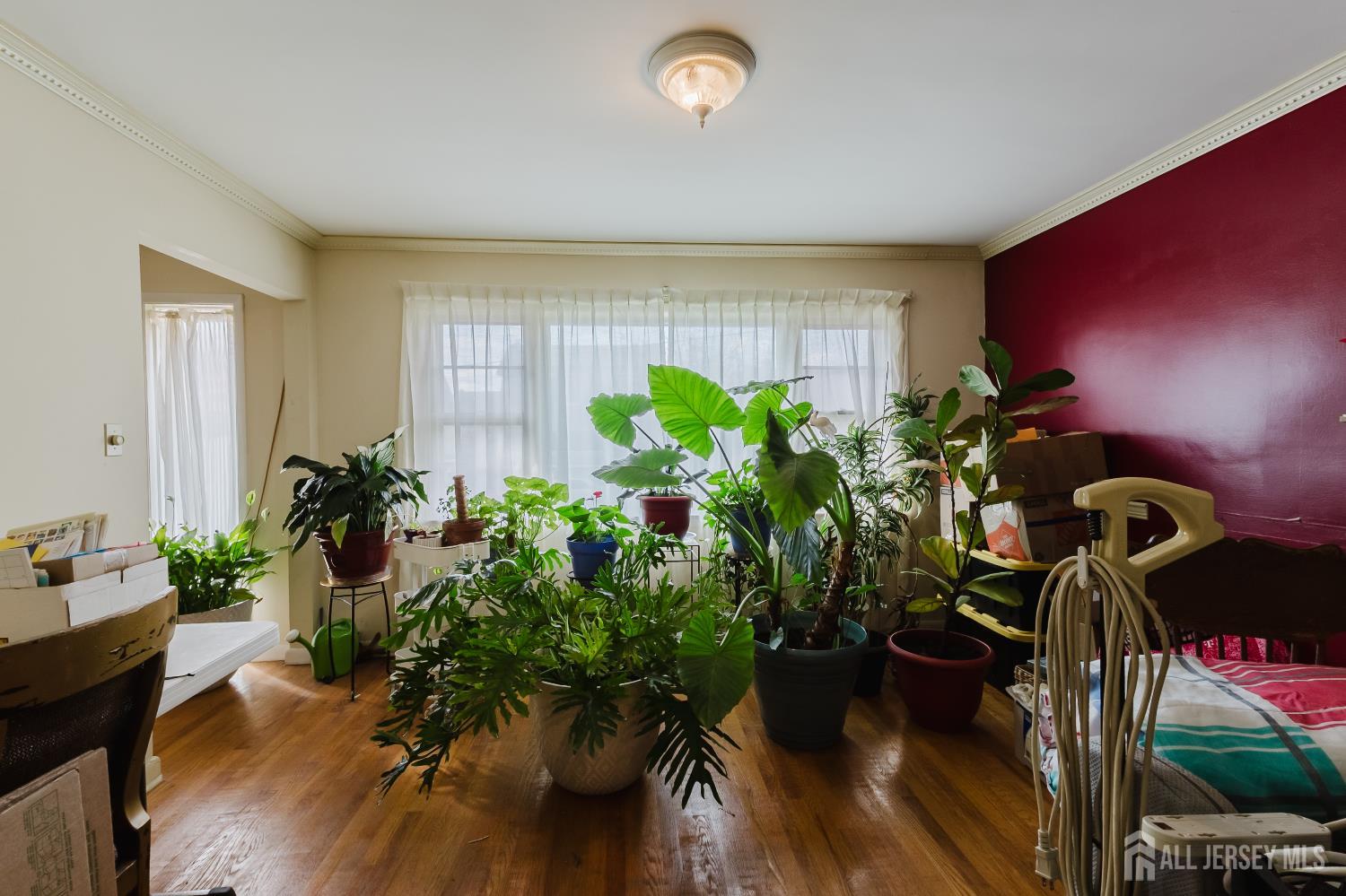 11 Edgeworth Place, New Brunswick, NJ, 08901 image 10