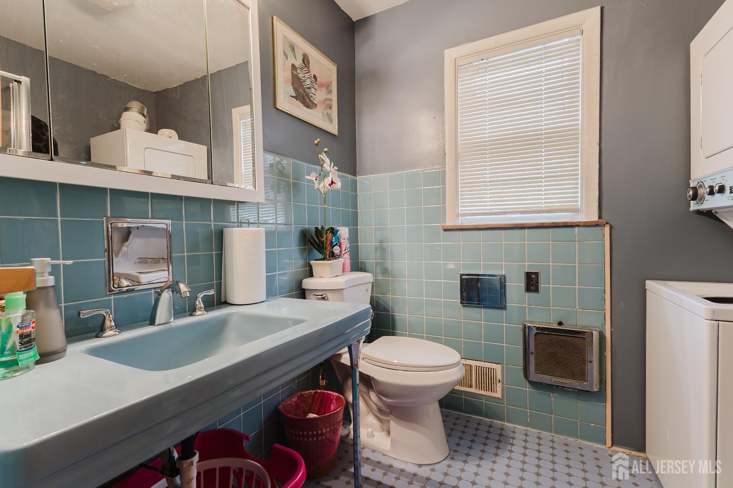 11 Edgeworth Place, New Brunswick, NJ, 08901 image 17