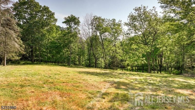 83 Readington Road Image 5