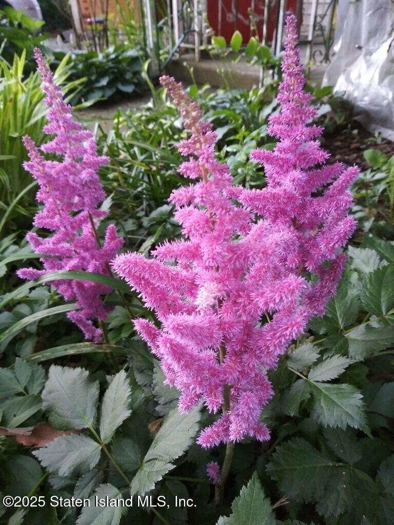 25 Catlin Avenue, Staten Island, NY, 10304 image 53