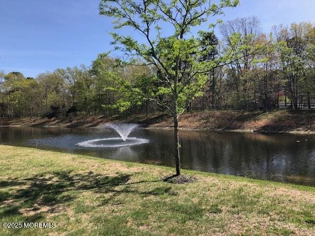 23 Muirfield Road, Jackson, NJ, 08527 image 38