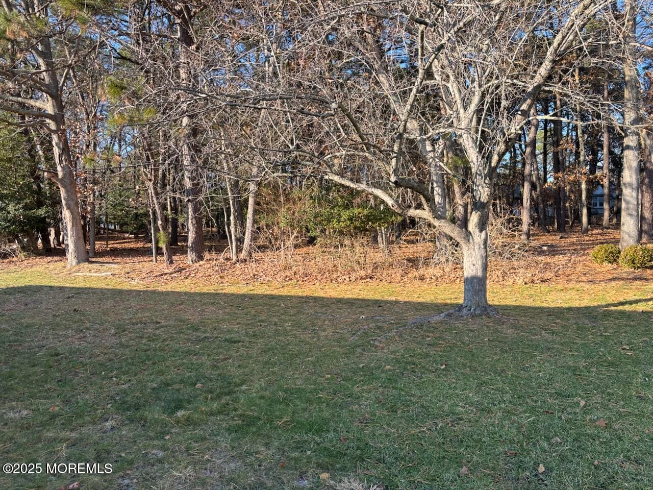 32 Constitution Boulevard, Whiting, NJ, 08759 image 6