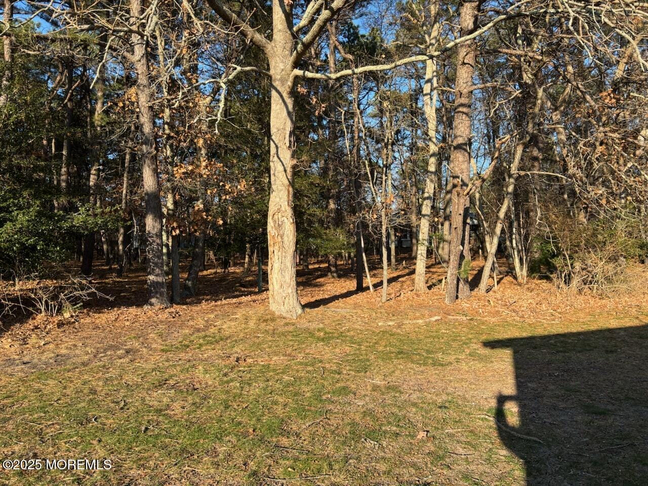 32 Constitution Boulevard, Whiting, NJ, 08759 image 7