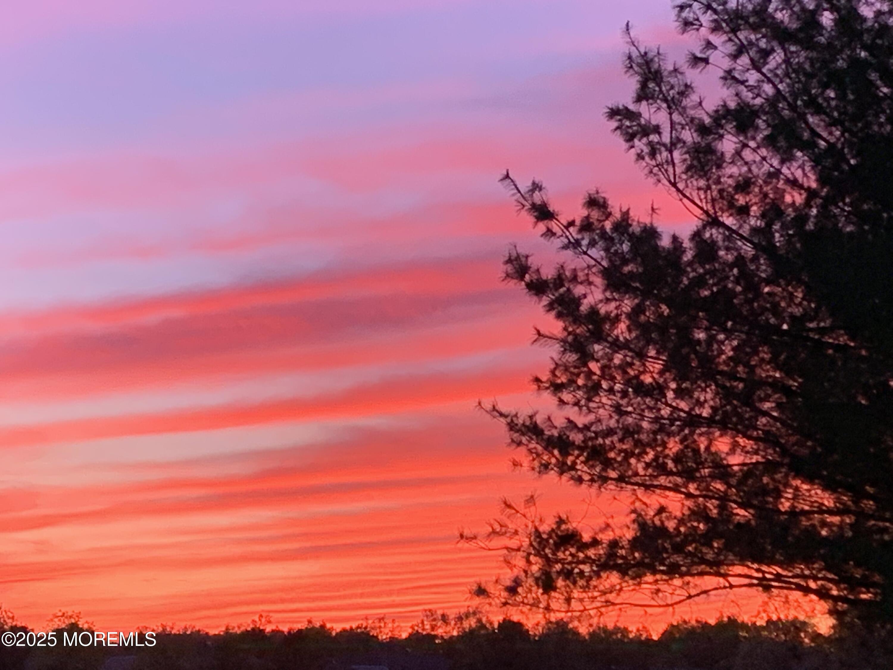 193 Wild Dunes Way, Jackson, NJ, 08527 image 56